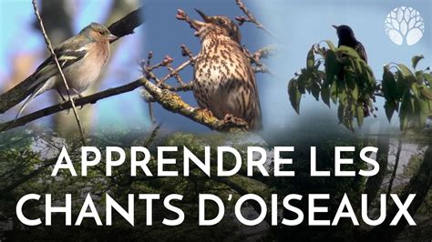  Le Chant des Oiseaux Mystiques! Découverte d'une Symphonie Sculpturale en Bois de Palmier