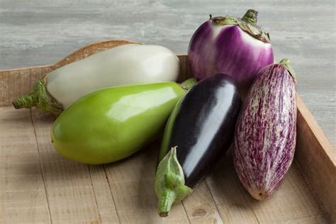 Le Danse des Aubergines: Un Déluge de Couleurs et d'Émotions !